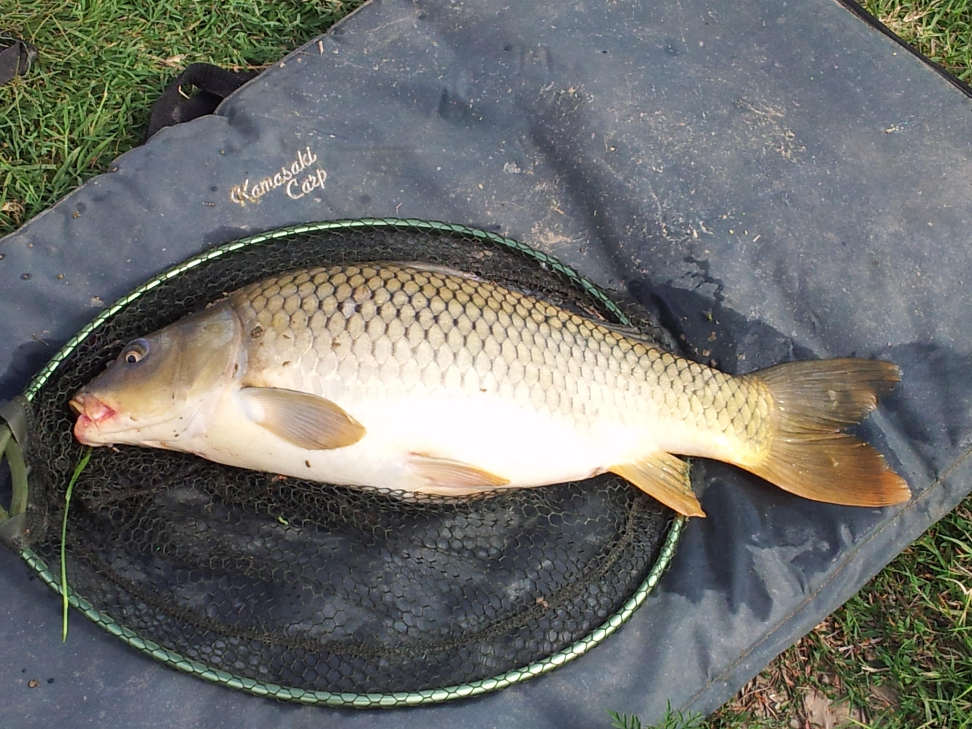 2012-08-09 16.50.50.jpg